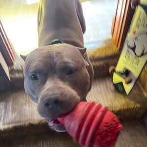 Meet your Posher, Douglas